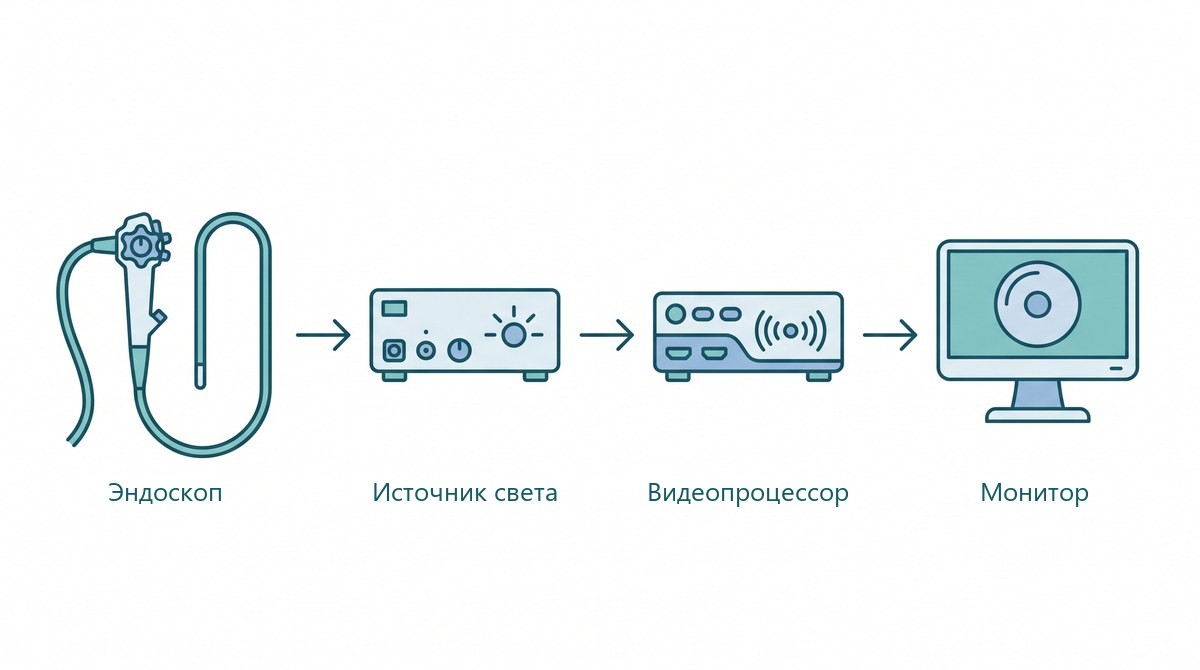 Эндоскопическая система: эндоскоп, источник света, видеопроцессор и монитор