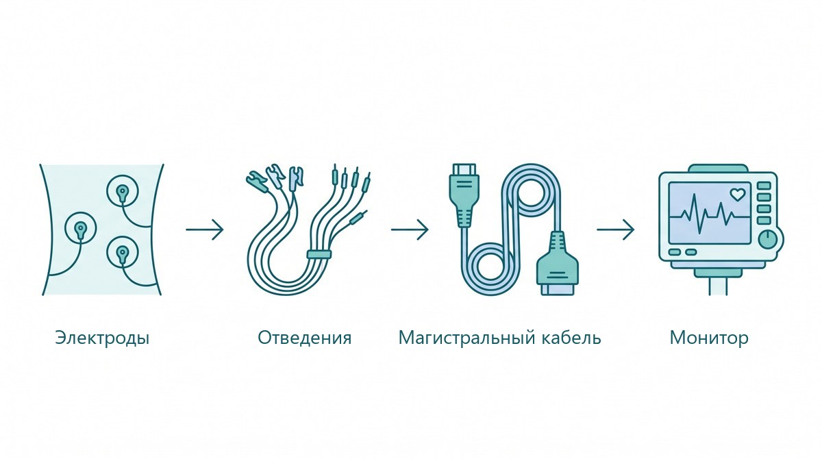 Схема тракта ЭКГ: электроды, отведения, магистральный кабель и монитор